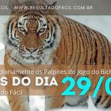 palpite jogo do bicho de hoje poker texas holdem